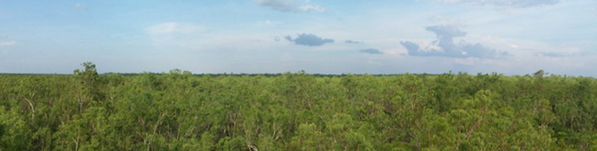 Howard Springs panorama