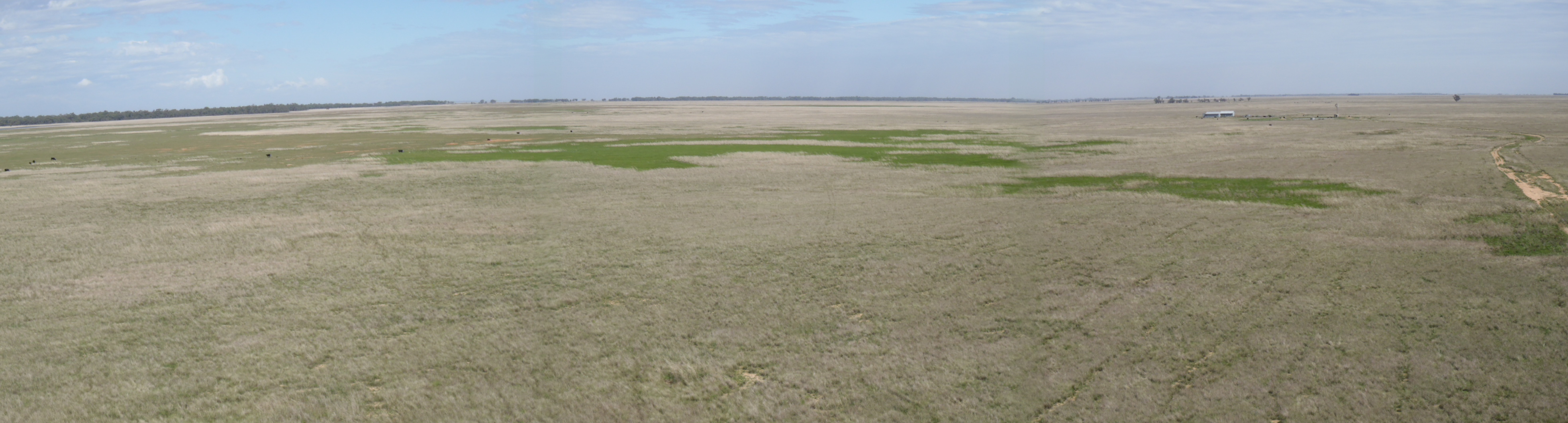 Yanca panorama