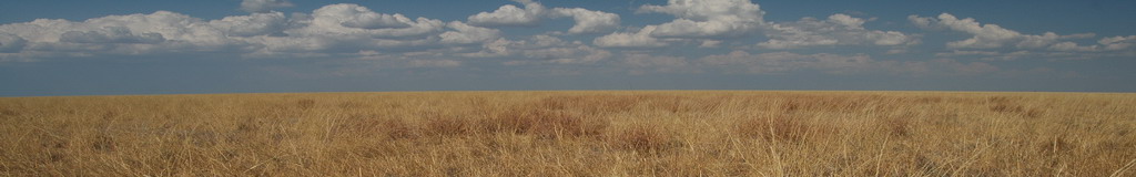 Sturt Plains panorama