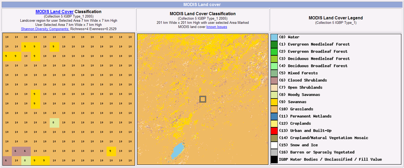 SturtPlains modis