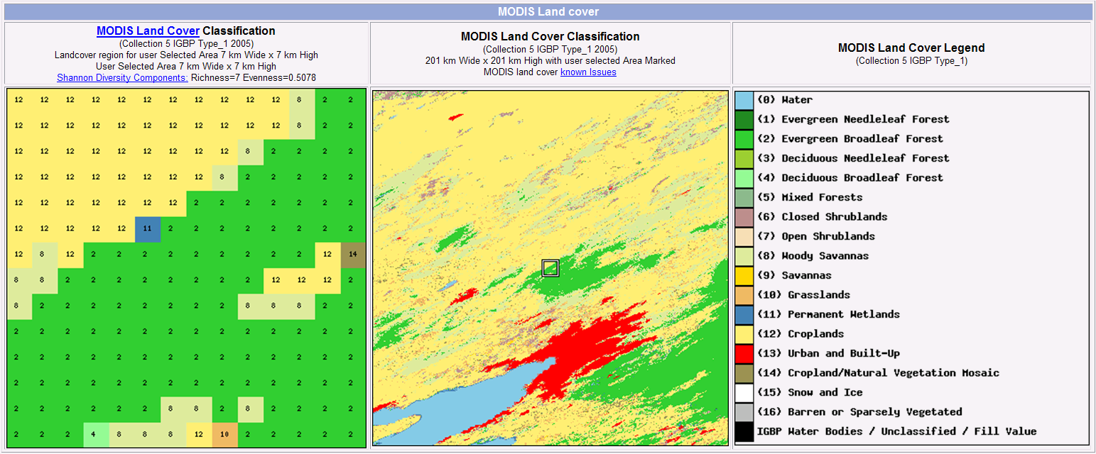 Wombat modis