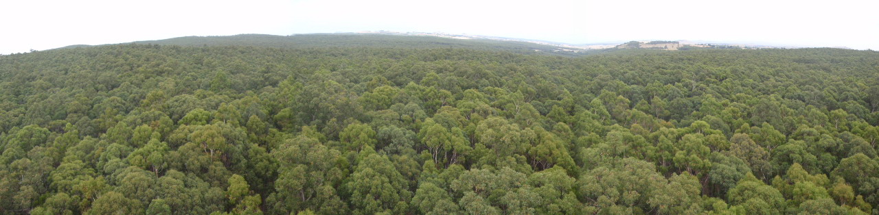 Howard Springs panorama